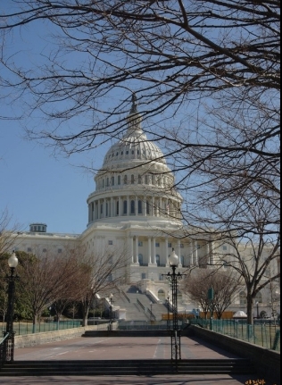 USA (Washington D.C )-Greg Dirego